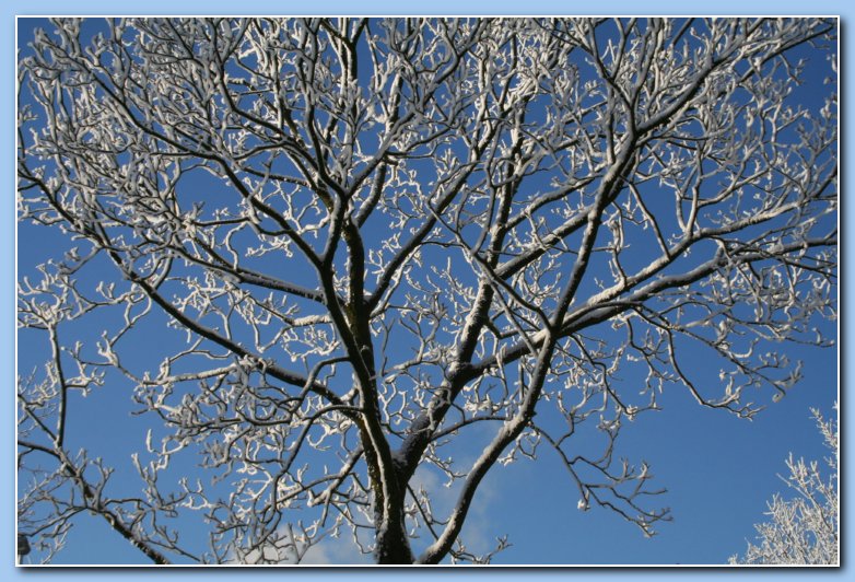 Arnhem Snow 172